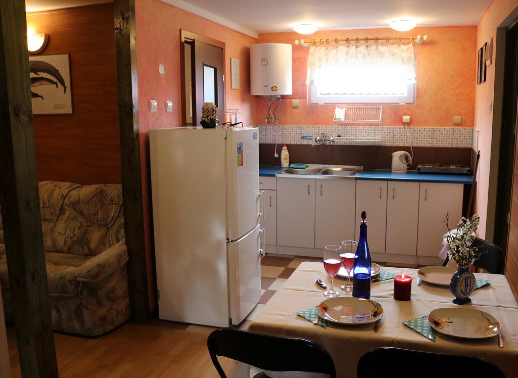 Wnętrze domku Dolar