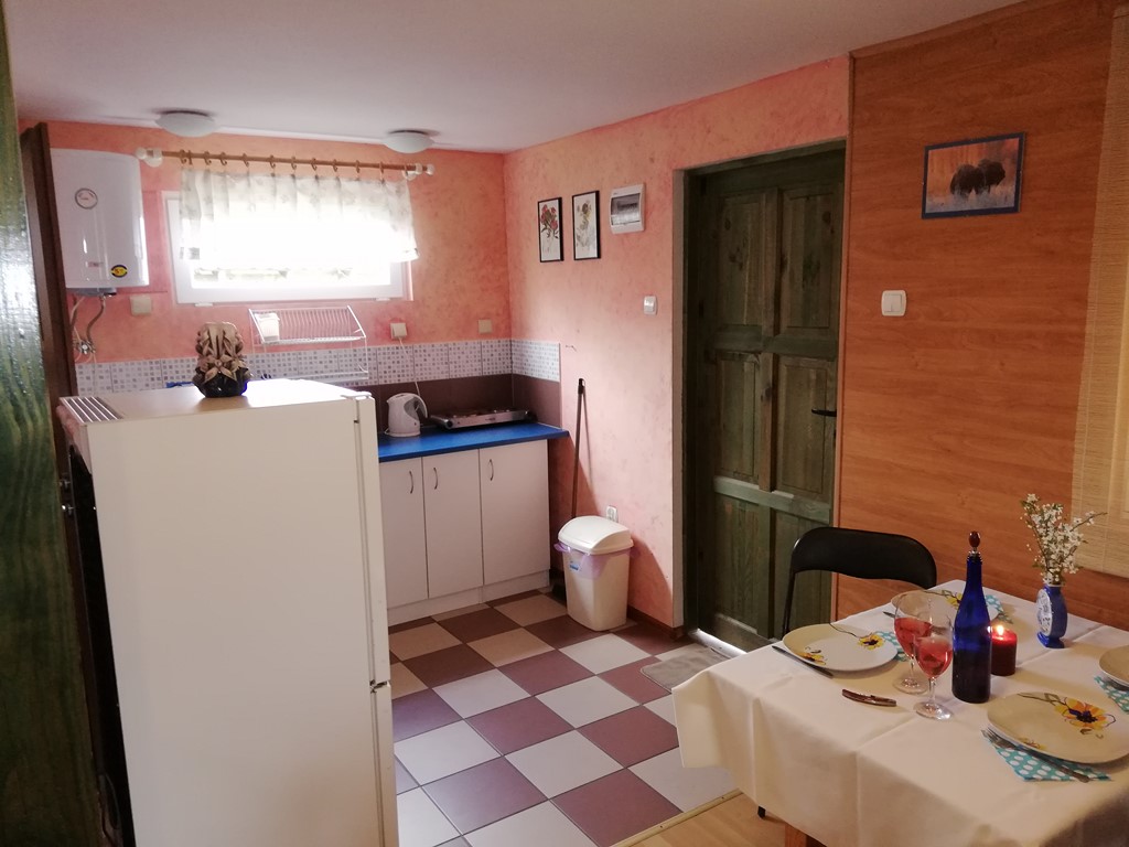 Wnętrze domku Dolar